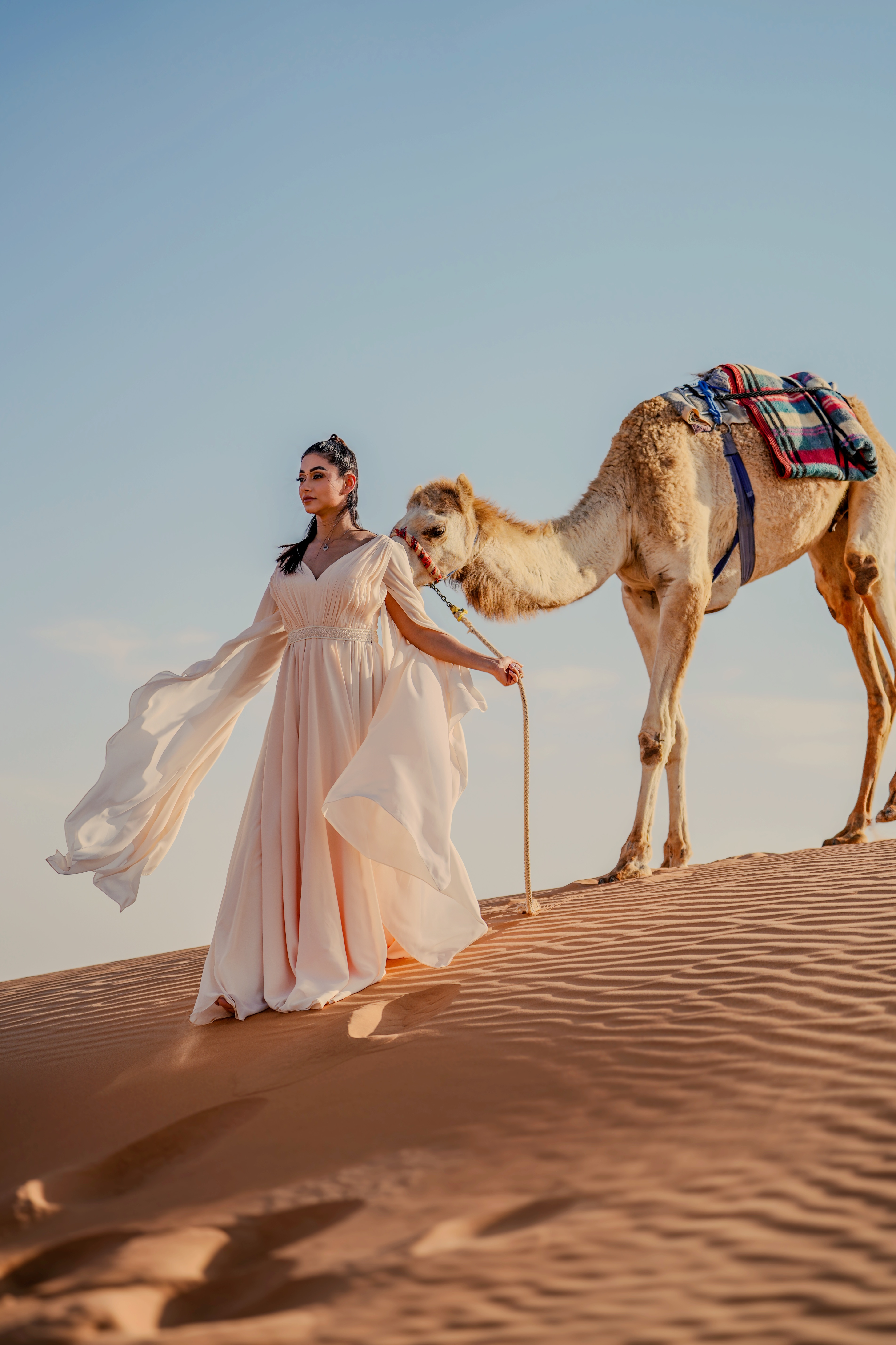Carousel Image 5