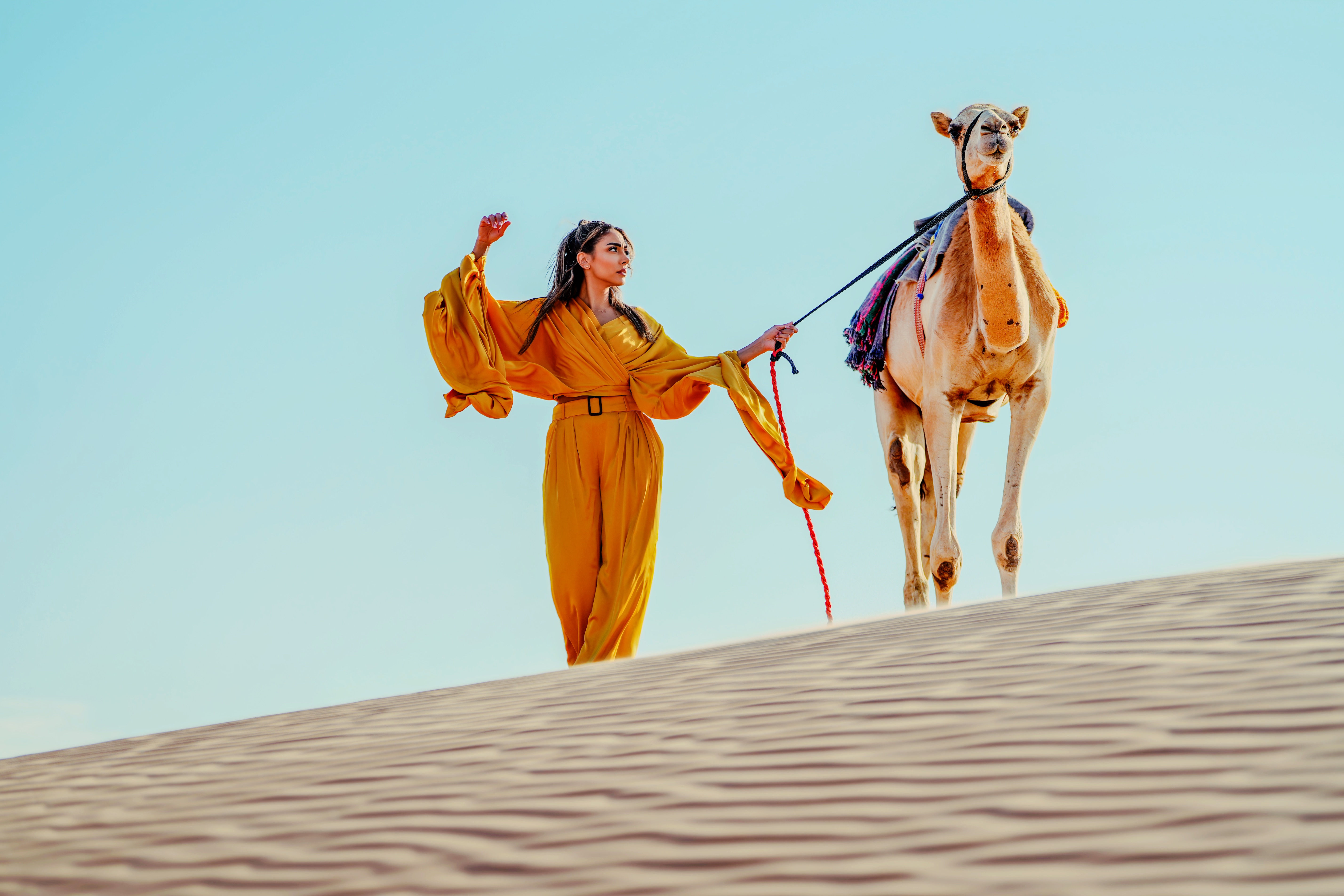 Carousel Image 6